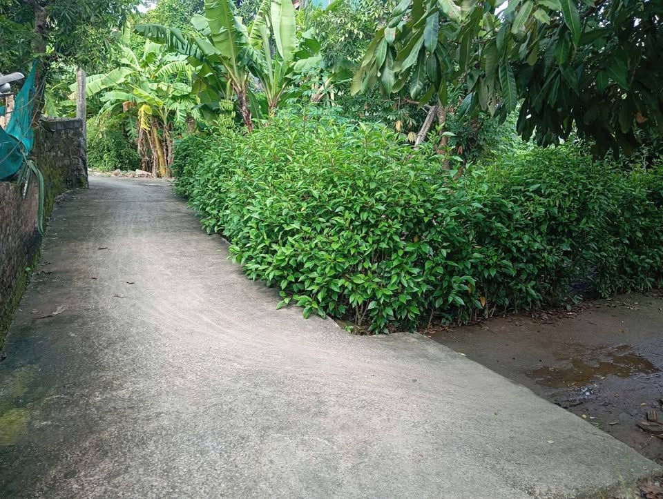 Bán gấp đất vàng 2 mặt tiền hướng Đông Nam - Vị trí đắc địa Phủ Lý