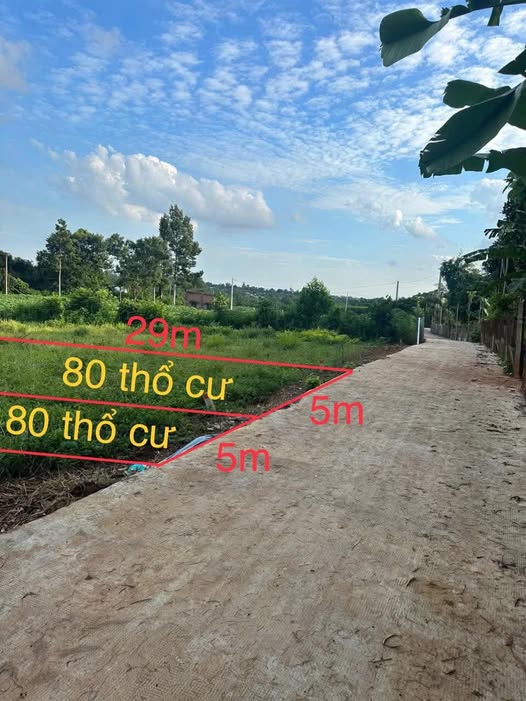 Đất xịn giá hời 580 triệu cho lô 5x29m tại Bà Rịa - Vũng Tàu, xây nhà vô tư