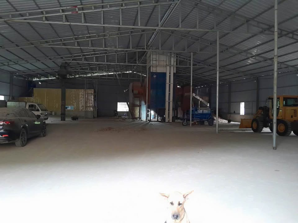 Đất 2 mặt tiền tỉnh lộ 12B, Hòa Bình - Xưởng sẵn, tiềm năng x10