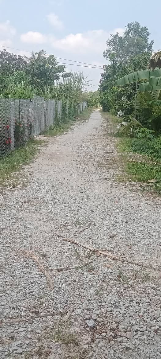 Đất vàng bên sông lớn, ngõ rộng xe ba gác thoải mái tại Sa Đéc