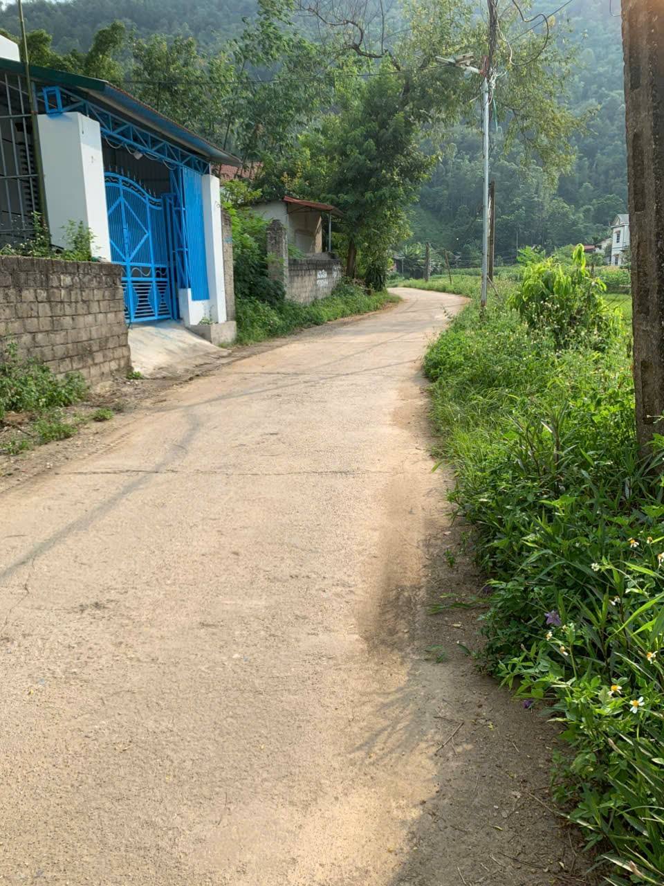 Đất thổ cư 120m2 tại Quang Yên, Sông Lô, Vĩnh Phúc - Gần Tỉnh lộ 307