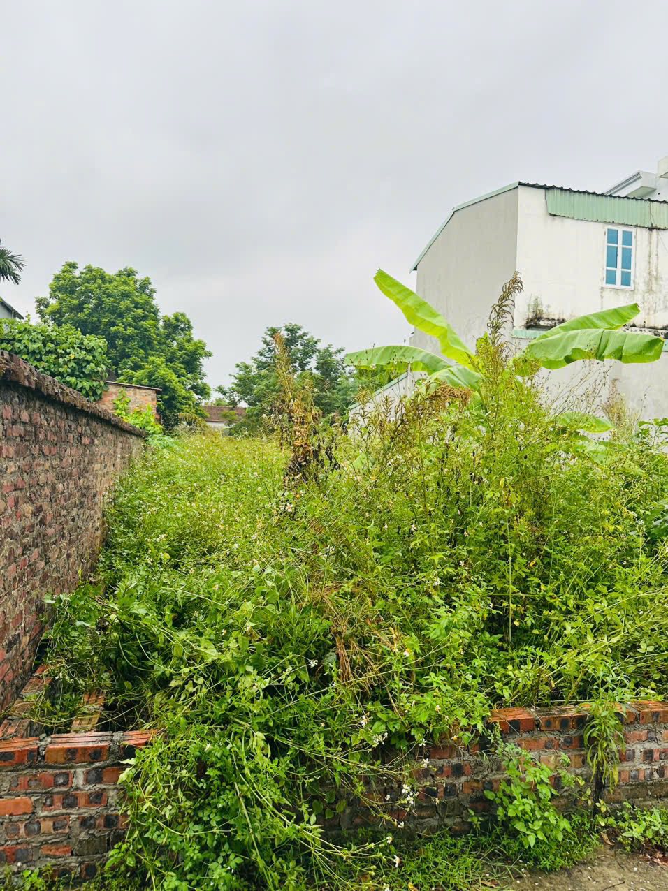 Đất Sóc Sơn 100m2 đẹp như hoa hậu, đường thông, ô tô đỗ cửa, giá hời