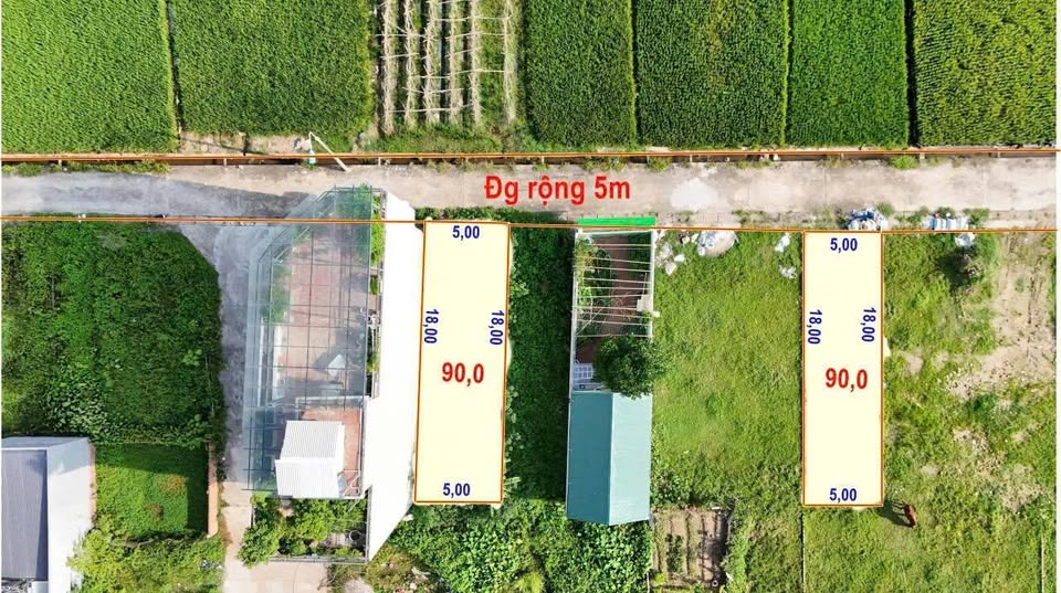 Đất đấu giá Nguyên Khê đầu tư sinh lời cực đỉnh