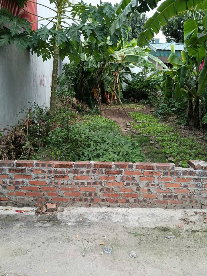 Bán đất Vĩnh Yên 105m2 full thổ cư, mặt tiền 6m, ô tô tận đất