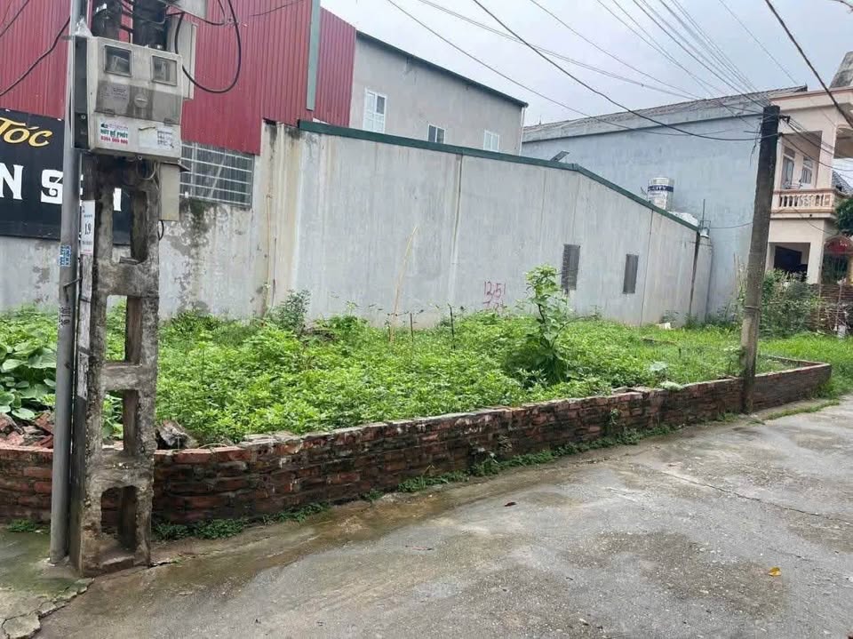 Đất nền hai mặt tiền đắc địa tại Khu Thành Công, Việt Trì - Cơ hội đầu tư sinh lời