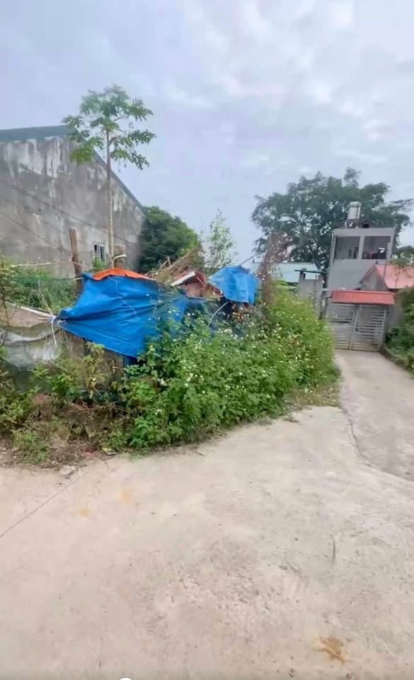 Đất vàng giáp công viên, ô tô tránh, giá hời