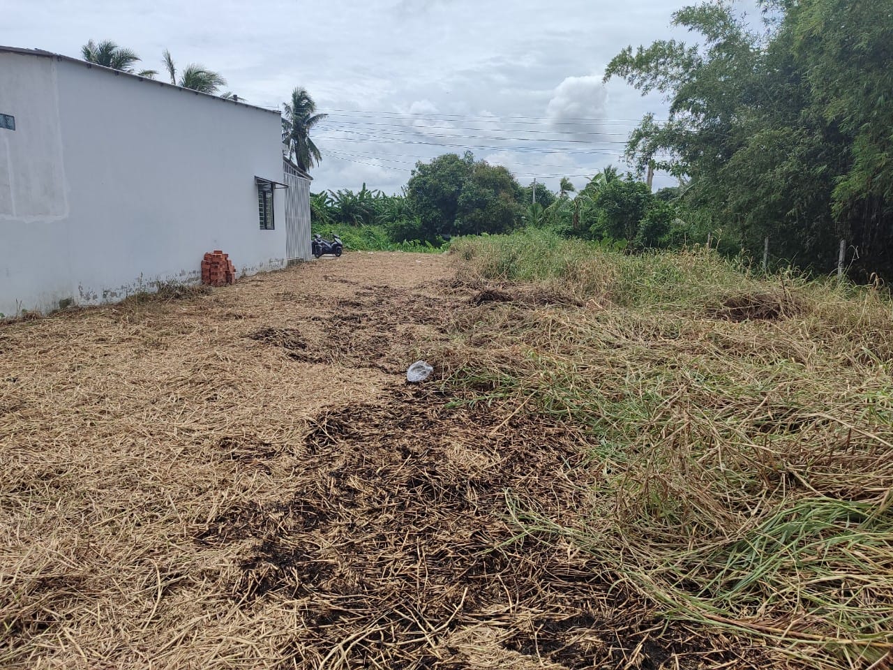 Bán nền đất vàng Giục Tượng, Kiên Giang ngang 5m, nở hậu 8m, sẵn sàng xây nhà