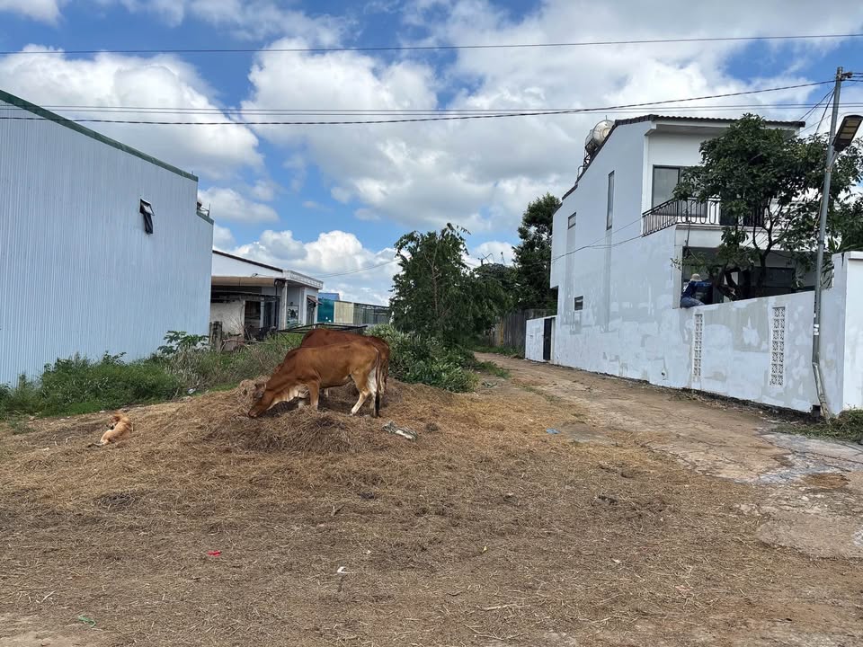 Đất thổ cư 2 mặt tiền hẻm đường Ywang nối dài, phường Eakao - Cơ hội đầu tư hấp dẫn