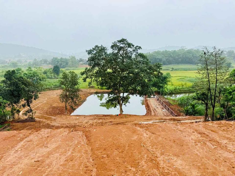 Đất Sơn Tây giá bèo nhèo, ô tô vào tận nơi, view siêu chill