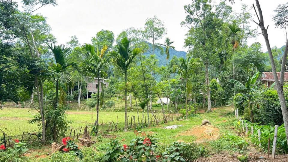 Lạc Sơn, Hòa Bình nơi an yên tuổi già với vườn hoa rực rỡ và dòng sông Bưởi thơ mộng