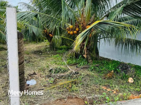 Bến Tre đất nền biệt thự mini Phú Tân, cơ hội vàng sở hữu ngay