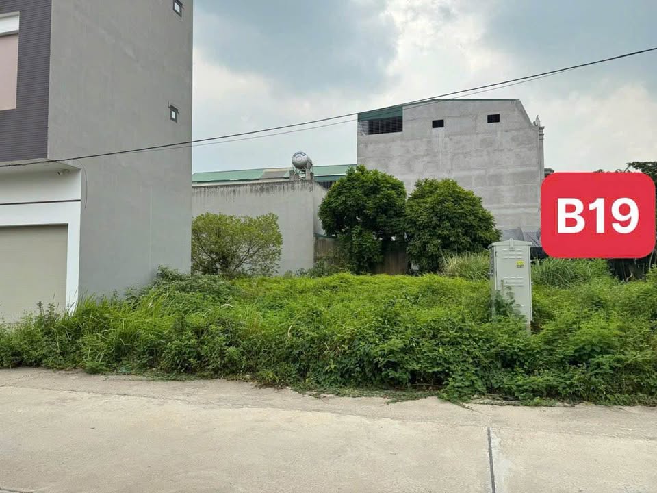 Đất Vĩnh Yên - Lô góc view kênh, đường 13.5m, sổ hồng 100m2 full thổ cư