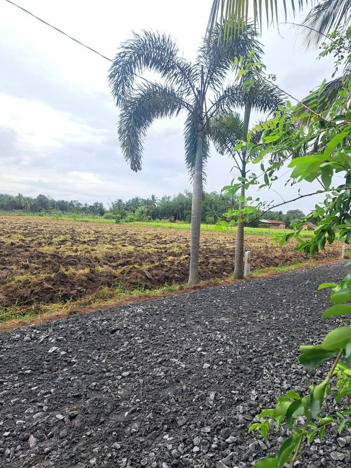 8 lô đất Suối Dộp, Châu Thành cũ, vị trí đắc địa, giá hấp dẫn