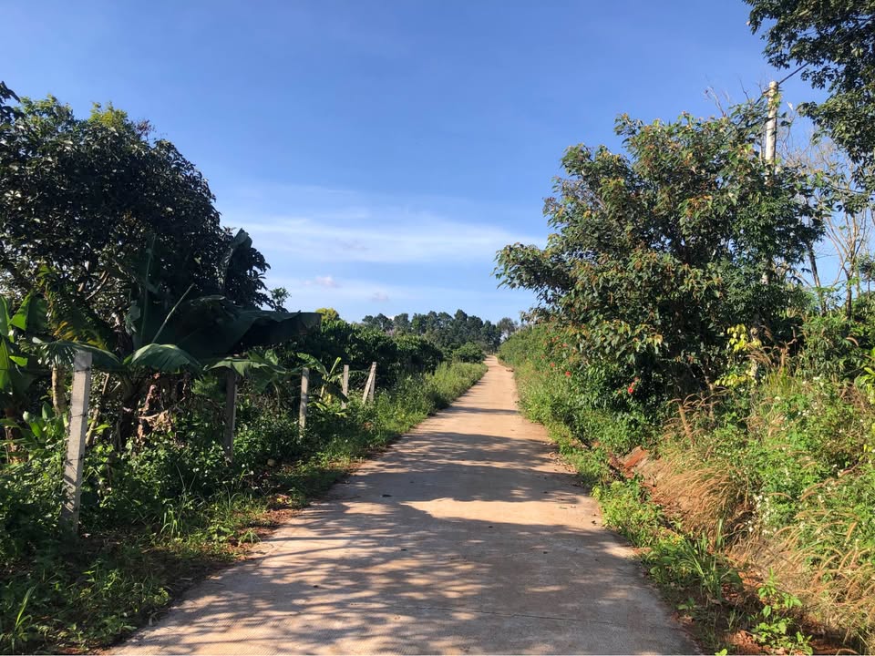 Bán rẫy tại Đăk Rmoan, Gia Nghĩa, Đăk Nông