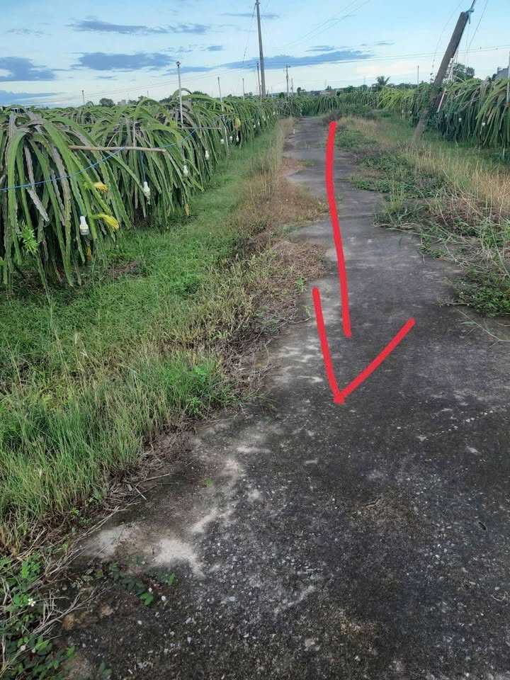 Bán 9190m² đất trang trại tiềm năng tại Hàm Hiệp, Bình Thuận