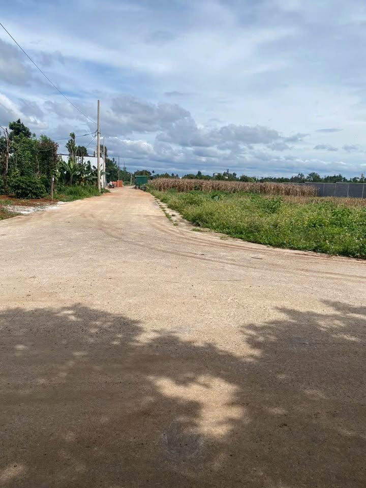 Cơ hội vàng sở hữu ngay lô đất Cư Sue siêu đẹp, chỉ cách kho Thái Phúc 500m