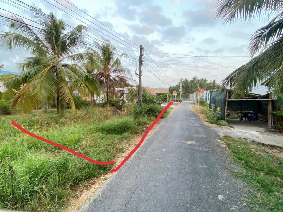 Mặt tiền đường nhựa 4m đất lúa 20x29m, giá mềm 1.4 tỷ tại Trà Vinh