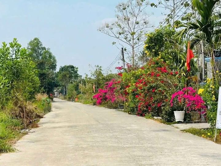 Đất vàng trung tâm, thổ cư sẵn sàng, cơ hội an cư lập nghiệp