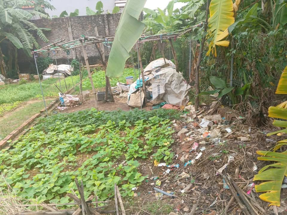 Siêu phẩm đất nền Tân Dân, Sóc Sơn, Hà Nội đang chờ chủ nhân mới