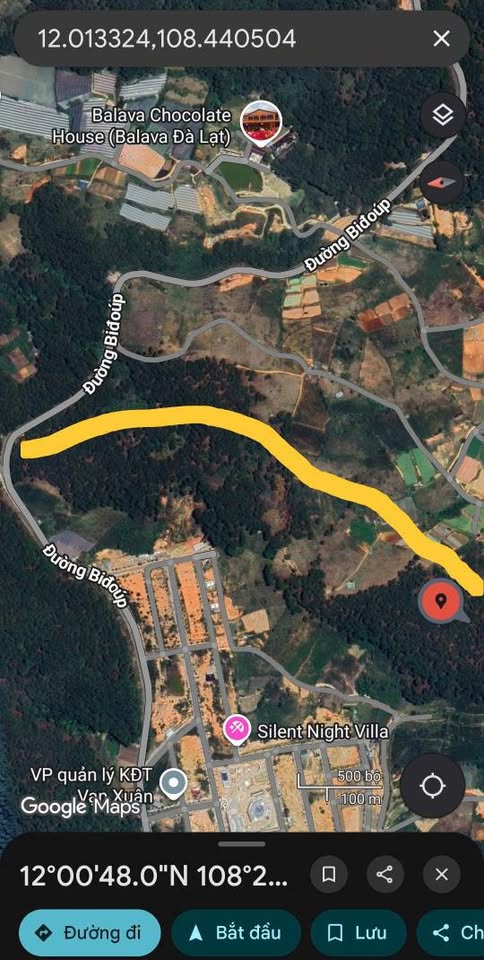 Đất đồi thông view triệu đô Đà Lạt, 4000m2 tách lô, giá đầu tư F0