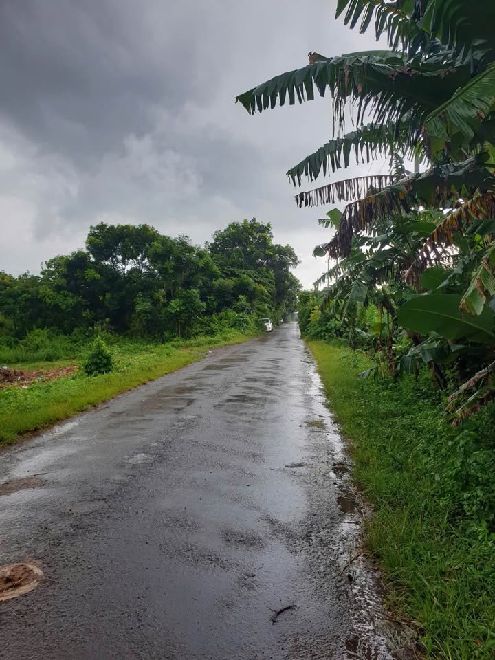 Đất vàng Eanuol 3,2 sào ONT, sẵn sàng xây dựng, giá hời