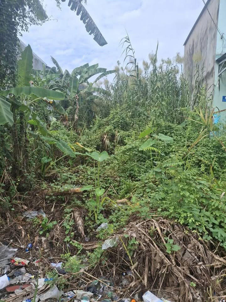 Nền đất vuông vắn 80m2, ô tô vào tận nơi tại Sa Đéc, Đồng Tháp