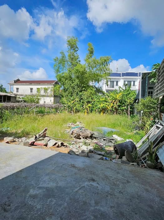 Chốt đơn 2 lô F0 siêu xinh, giá thương tại Huế