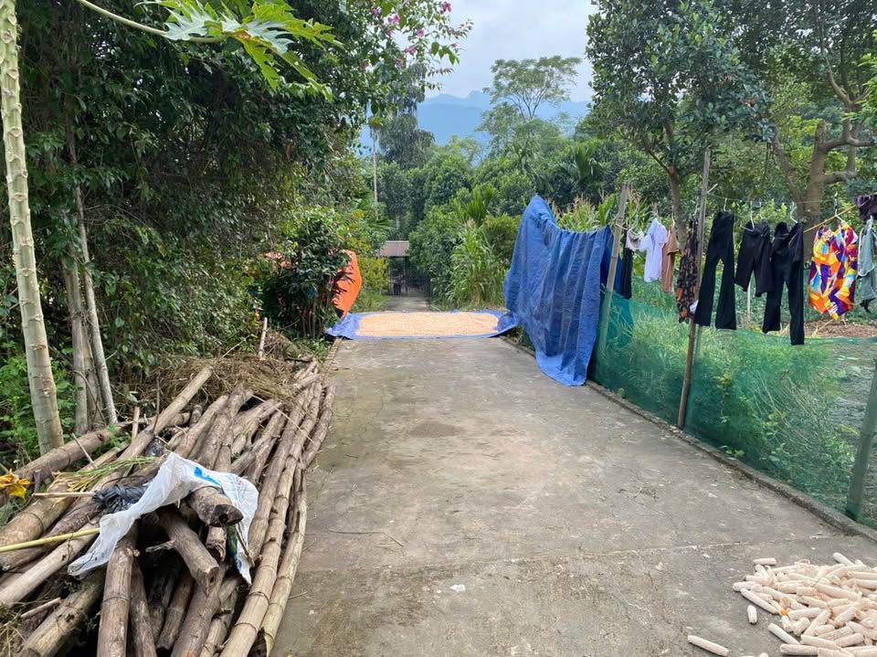 Bán trang trại 5000m² tại Gia Phú, Lào Cai thích hợp chăn nuôi