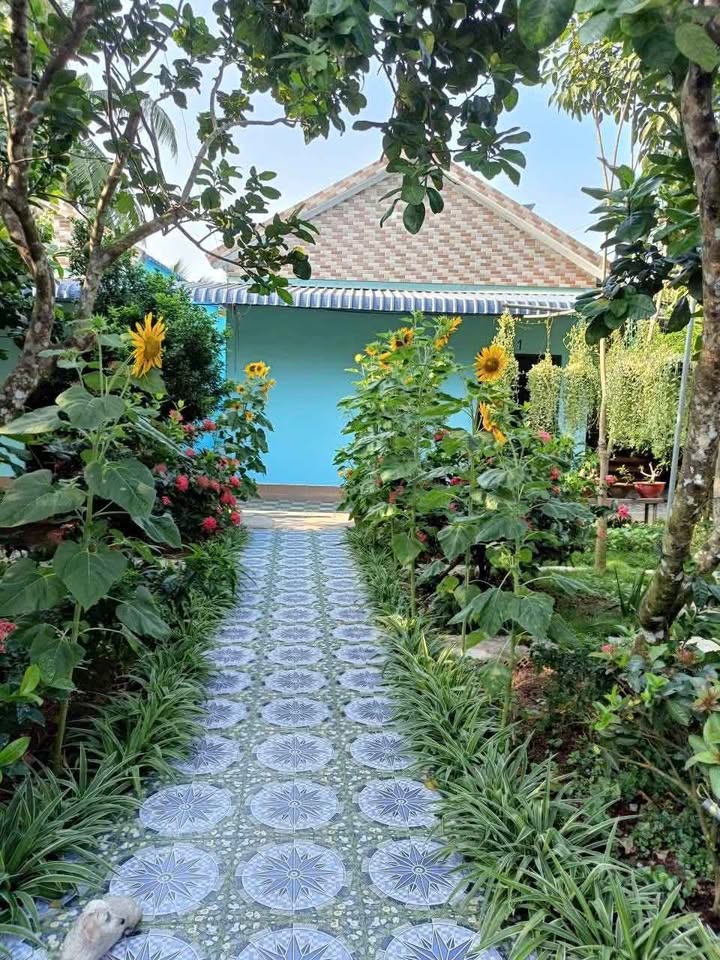 Bán gấp khu nhà nghỉ homestay 8 phòng riêng biệt Bến Tre