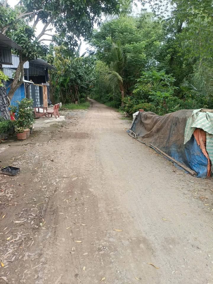 Miếng vườn xanh mát, thoáng đãng - nơi an yên giữa lòng Châu Đốc