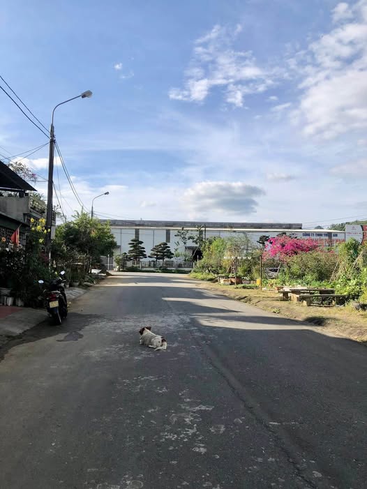 Bán đất 3 mặt tiền 105m2, sổ hồng đầy đủ, gần quảng trường tỉnh Lai Châu
