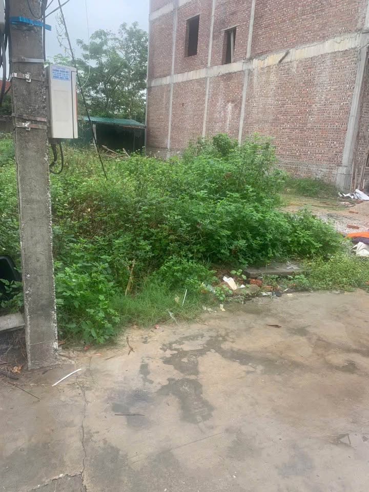 Siêu phẩm đất nền "vàng" ngay trung tâm hành chính xã Tú Sơn, Kiến Thụy, Hải Phòng đã chính thức lộ diện