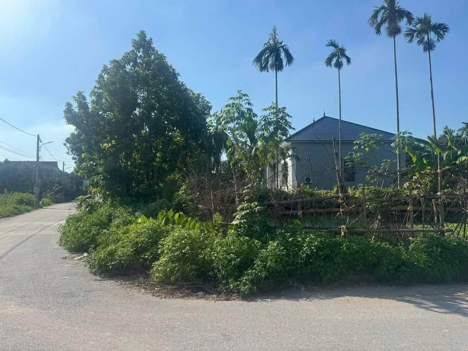 Đất 2 mặt tiền, 74m2, chỉ 1 tỷ nhỉnh, kinh doanh hay ở đều tuyệt