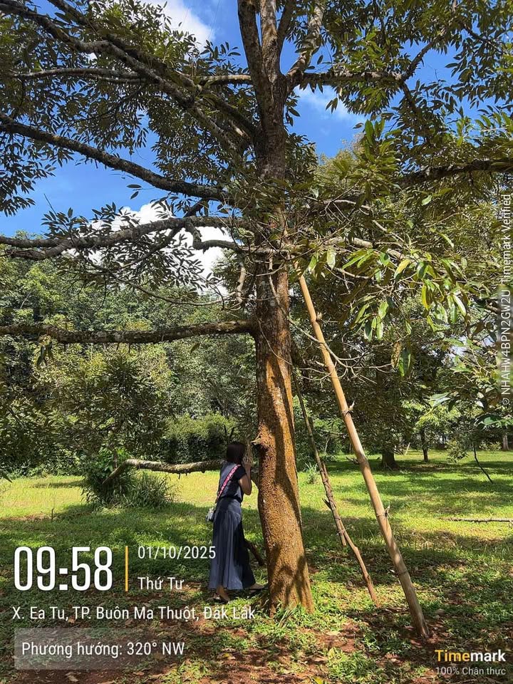 Đất sào Tân An, Buôn Ma Thuột - Đầu tư sinh lời ngay