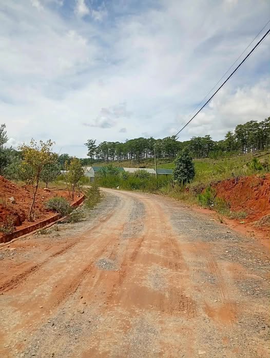 Đất nghỉ dưỡng sổ riêng Lạc Dương, Lâm Đồng 850m²