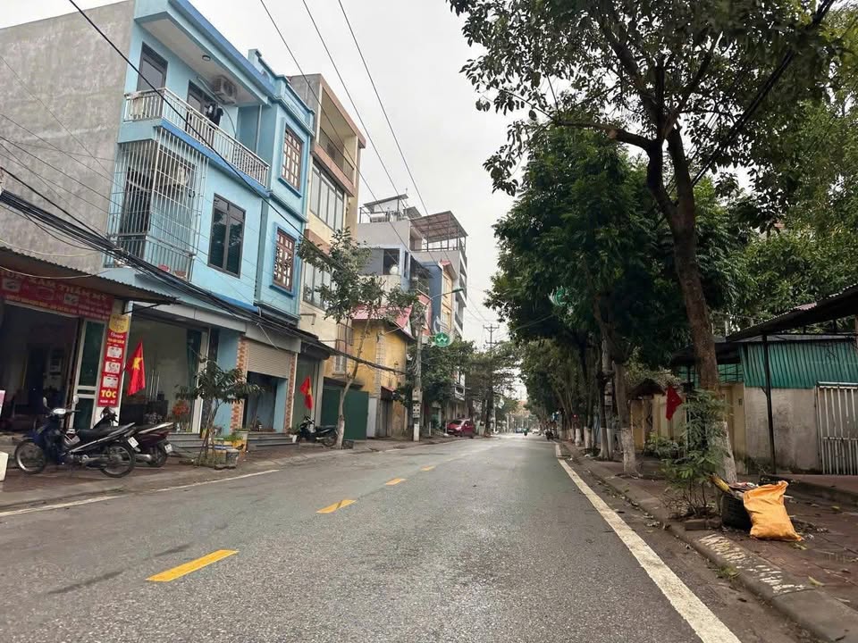 Đất vàng kinh doanh trục chính Lam Sơn, Vĩnh Yên