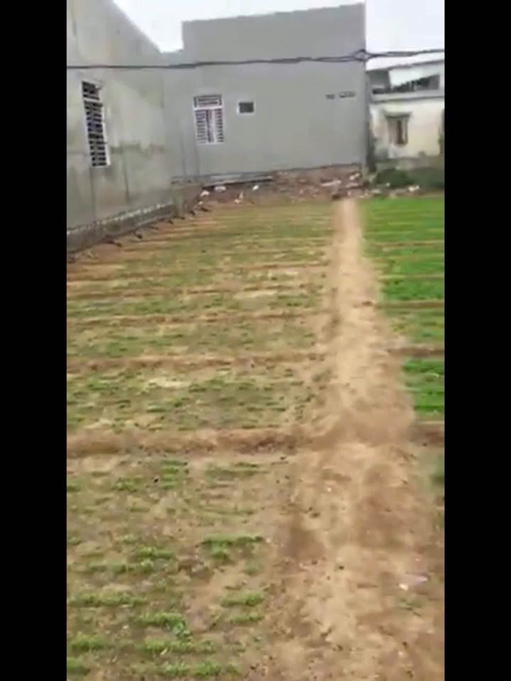 Bán nhanh đất 130m2 trung tâm Phan Rang, gần biển, tiềm năng tăng giá cao