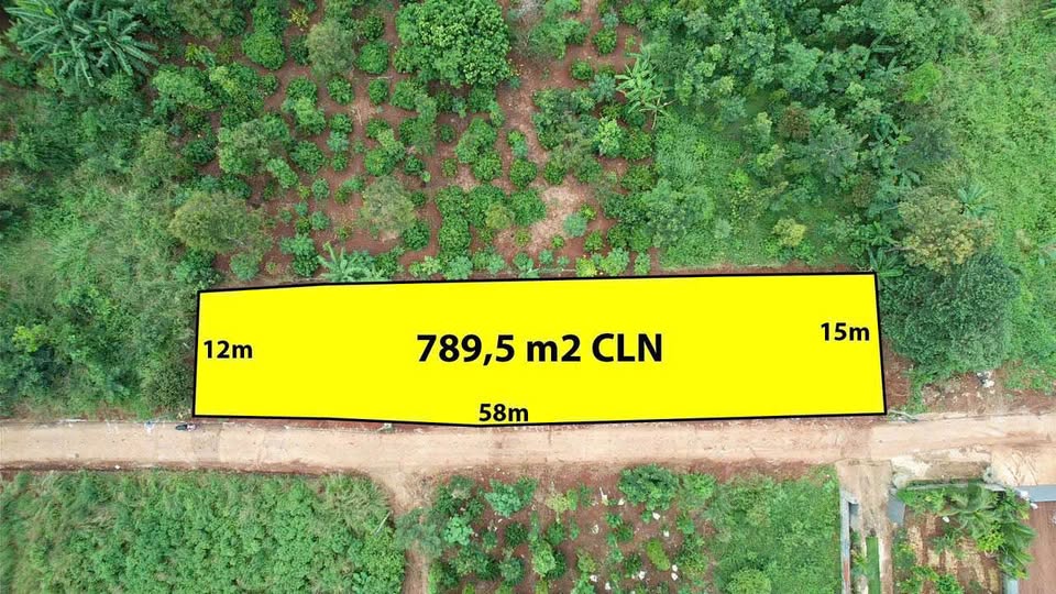 Bán đất 1000m2 mặt tiền đường bê tông, view đẹp tại Buôn Ma Thuột