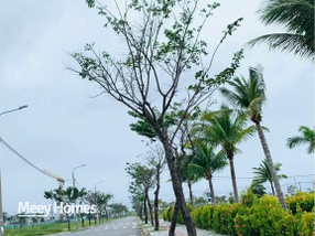 Khám phá ngay những lô đất nền Hòa Xuân Đà Nẵng cực kỳ hấp dẫn