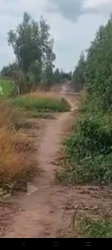 Đất lúa 3 vụ siêu xinh, view sông chill chill