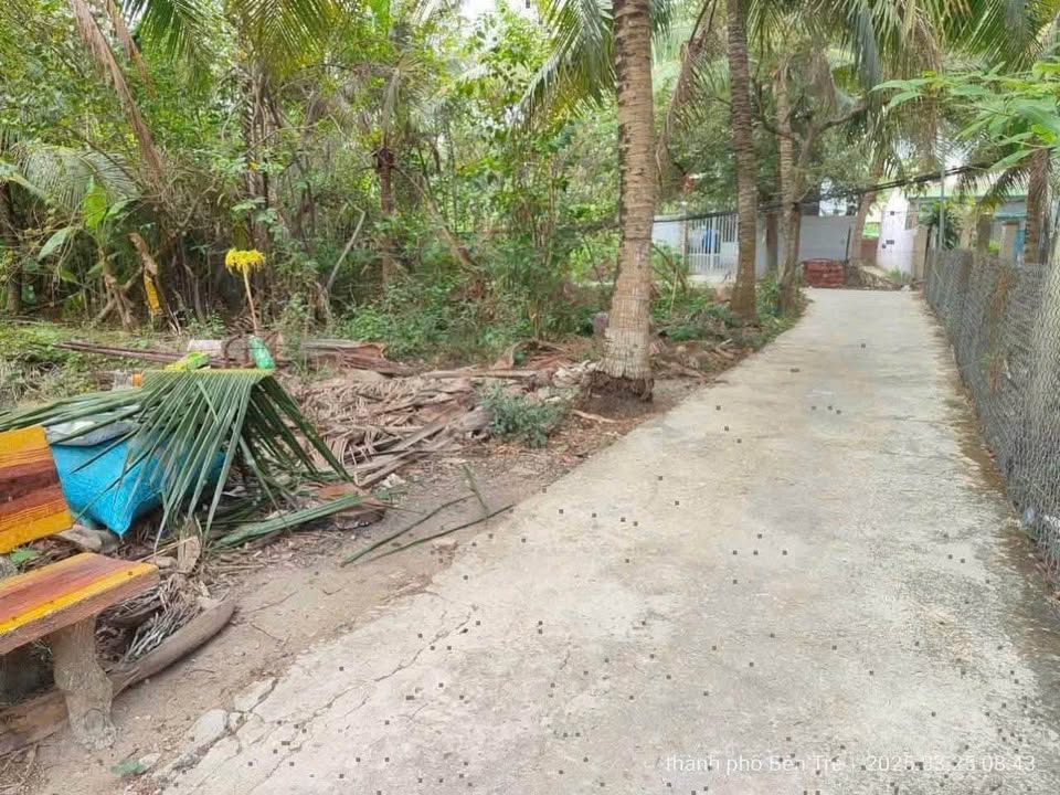 Đất Phú Hưng, Bến Tre 1.500m2, quy hoạch đất ở, giá chỉ 1.8 tỷ