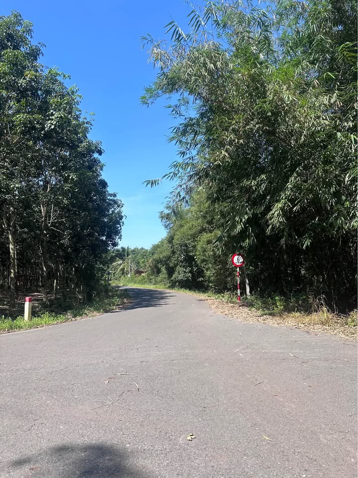 Cần bán 19 hecta đất tại xã Minh Thạnh, huyện Dầu Tiếng