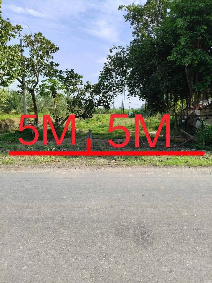 Bán gấp đất mặt tiền đường Lục Viên, view hồ, Đức Lập, Long An