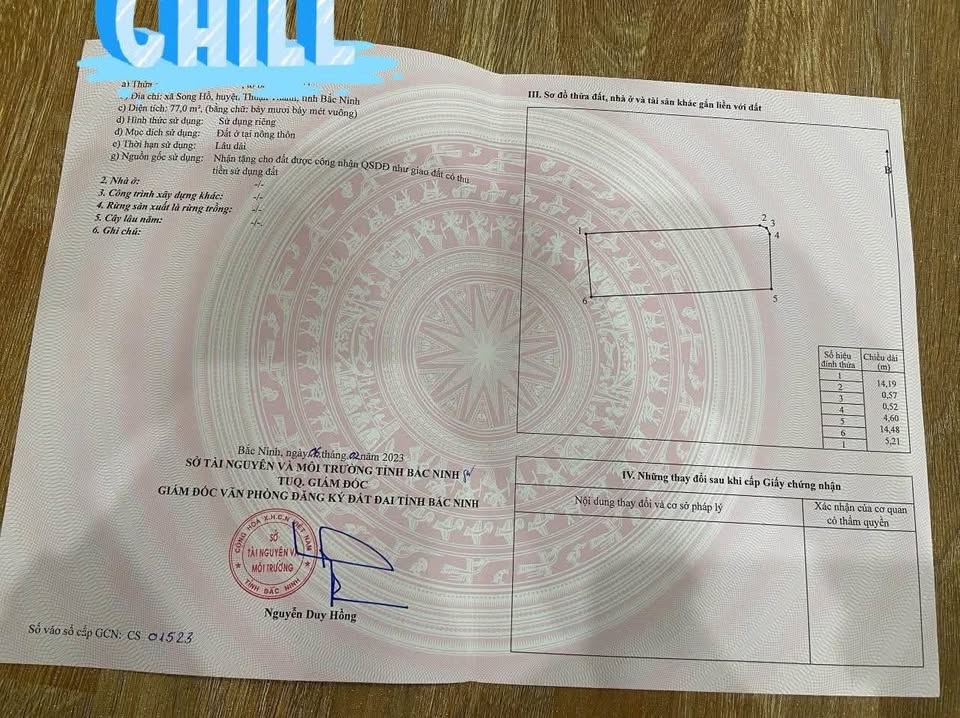 Bán đất lô góc đắc địa tại Gia Bình, Bắc Ninh