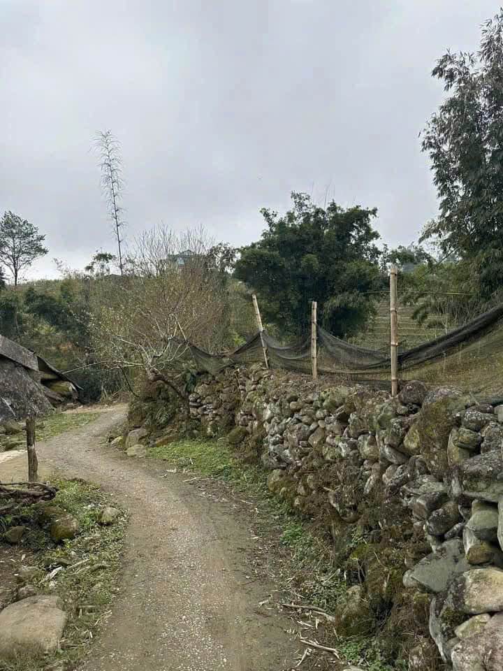 Đất vàng 3 mặt tiền, view suối, sẵn nếp nhà, cơ hội đầu tư homestay