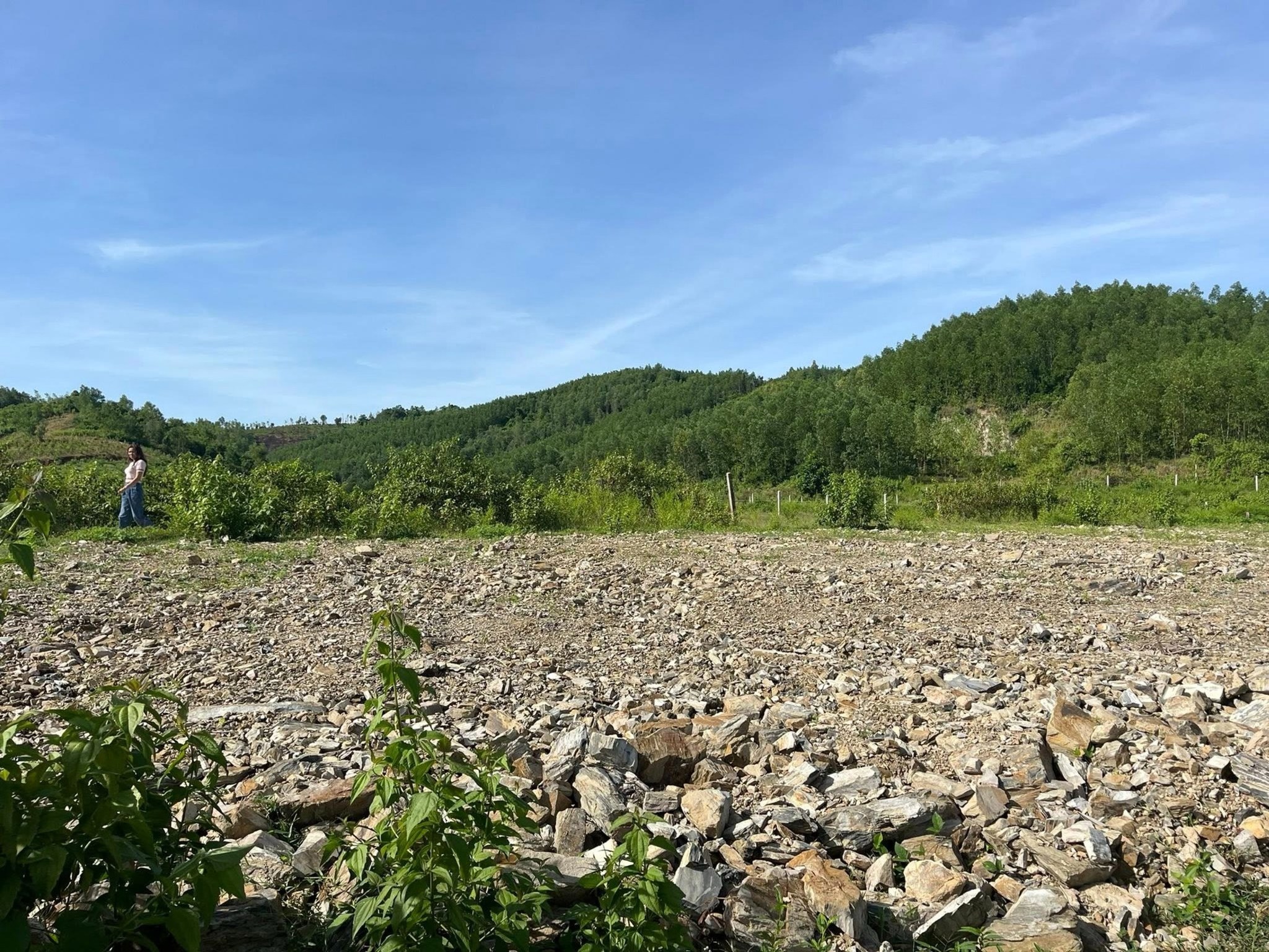 Siêu phẩm đất vườn 400m² thổ cư tại Khánh Phú, Khánh Vĩnh, Khánh Hòa