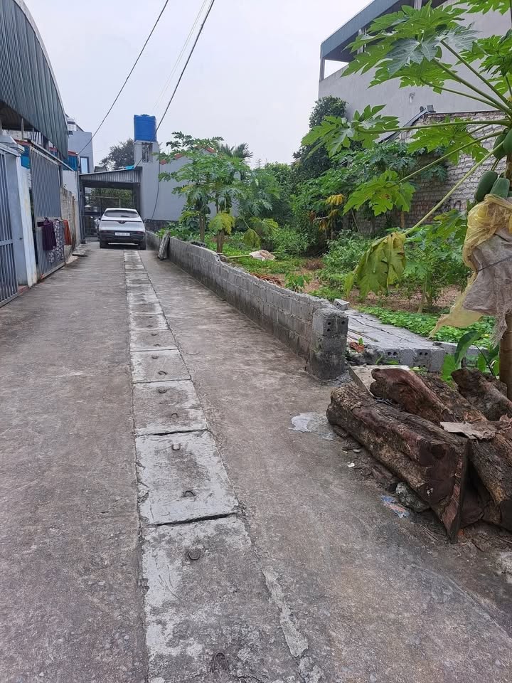 Cơ hội sở hữu lô đất thổ cư vuông vắn tại tổ dân phố Trịnh, Huyện Bình Lục, tỉnh Hà Nam