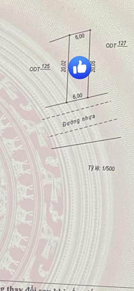 Cơ hội sở hữu ngay lô đất đắc địa tại Bắc Lý, Thành phố Đồng Hới, tỉnh Quảng Bình