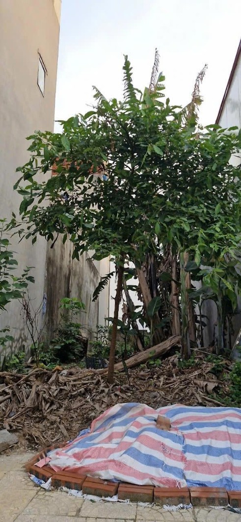 Đất Vàng Thanh Châu 74m² vuông vắn, ô tô tránh, giá mềm như bún chả