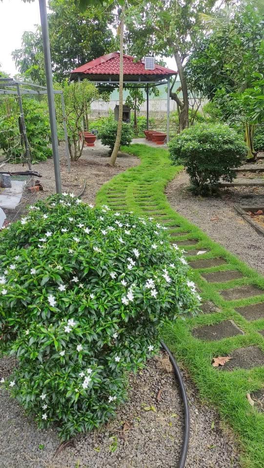 Nhà vườn siêu xinh xắn đang chờ chủ mới đây ạ